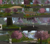 imagec1d046293a1b885f.png