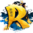 hakankdr11